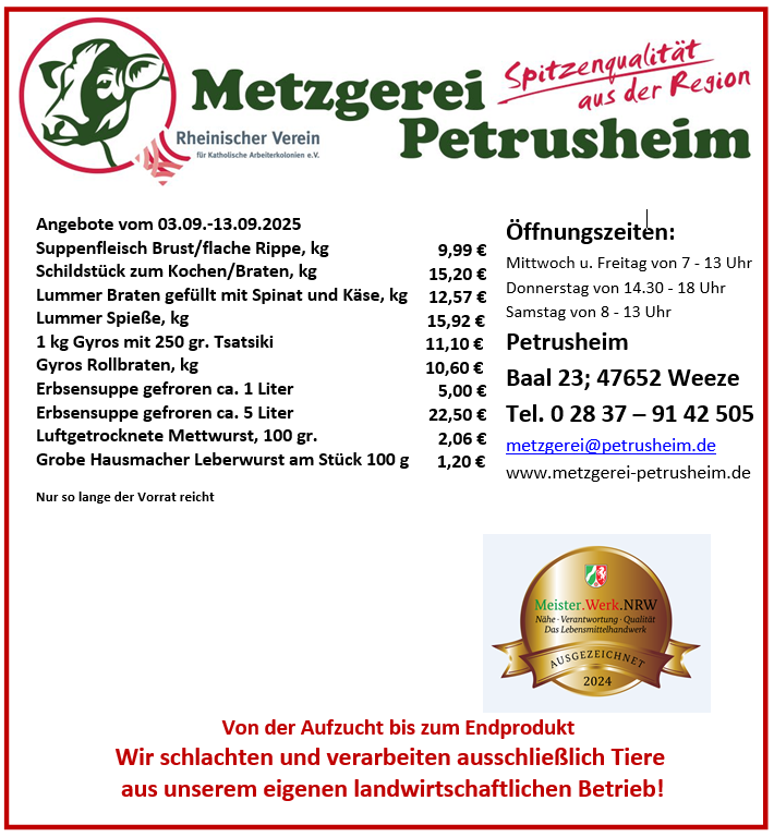 Angebote 202201